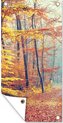 Affiche jardin d'automne - CM 1:2 7-1