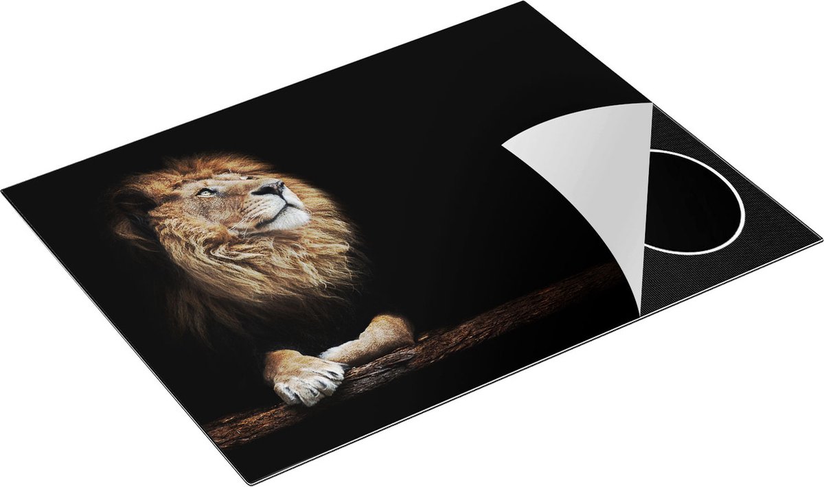 Chefcare Inductie Beschermer Leeuw in het Donker op een Boomstronk - 77x59 cm - Afdekplaat Inductie - Kookplaat Beschermer - Inductie Mat
