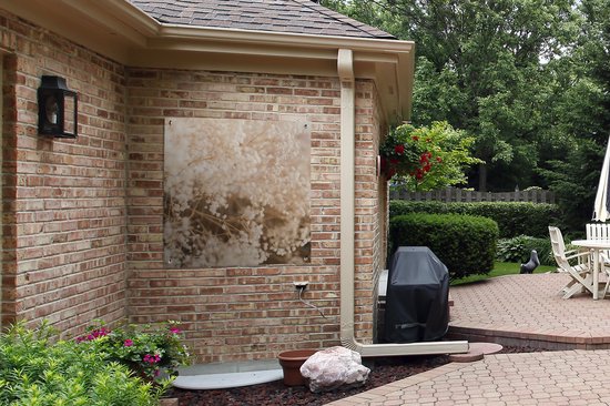 Affiche jardin - Pampa - Herbe de la pampa plante de jardin - Plantes - Nature - Rose - 100x100 cm - Affiche jardin fleurs - Jardin - Décoration murale - Décoration murale - Toile jardin - Affiche extérieur