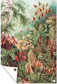 Affiche de jardin Ernst Haeckel - EB 2:3 2-1