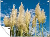 Tuinposter - Pampas - Pampasgras pluimen - Plant - Lucht - Blauw - 40x30 cm - Tuinposters - Tuin - Muurdecoratie - Tuindecoratie - Tuindoek - Buitenposter