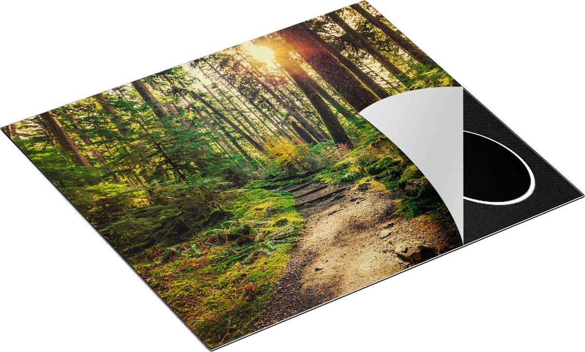 Chefcare Inductie Beschermer Voetpad in het Bos - 57,6x51,6 cm - Afdekplaat Inductie - Kookplaat Beschermer - Inductie Mat