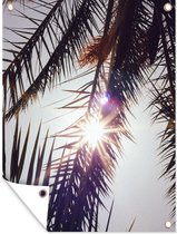 Tuinposter - Palm - Palmbladeren - Palmboom - Tuin - Natuur - 60x80 cm - Tuindecoratie - Tuindoek