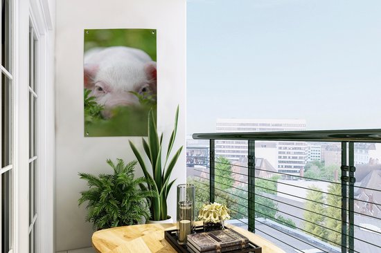 Affiche de jardin - Cochon - Herbe - Animaux - Vert - Jardin - Peinture de jardin - 40x60 cm - Décoration murale - Décoration murale - Toile de jardin - Affiche d'extérieur