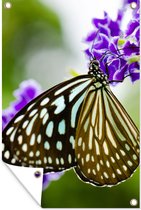 Tuinposter - Vlinders - Lavendel - Bloemen - Lente - Tuinschilderij - 120x180 cm - Tuindoek