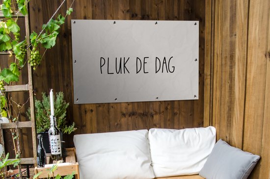 Poster de jardin Texte - Décoration de jardin - Taupe - Couleur sable - Citations - Carpe Diem - Saisir le jour - 120x80 cm - Toile de clôture - Toile de jardin