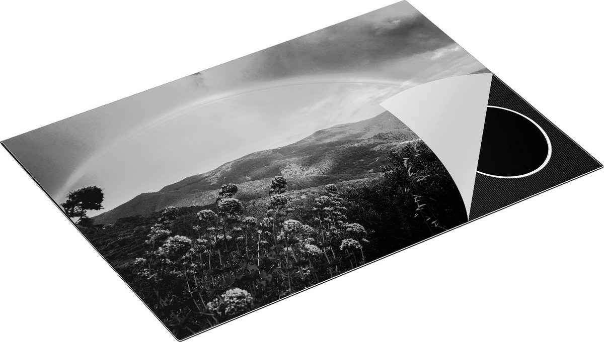 Chefcare Inductie Beschermer Regenboog in de Heuvel Bossen - Zwart Wit - 75x52 cm - Afdekplaat Inductie - Kookplaat Beschermer - Inductie Mat