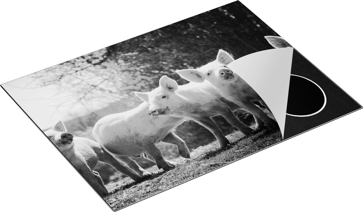 Chefcare Inductie Beschermer Groep Jonge Varkens - Zwart Wit - 70x50 cm - Afdekplaat Inductie - Kookplaat Beschermer - Inductie Mat