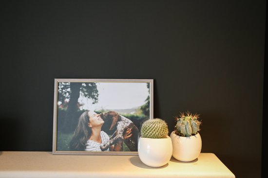 Deknudt S46AF3 30x40 plastique peint beige