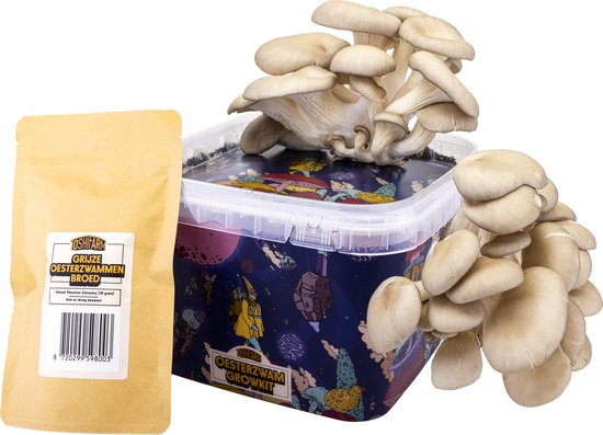 Wecandoo - Réalisez votre kit de production de champignons