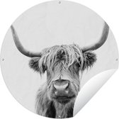Tuincirkel Schotse hooglander - Dier - Zwart - Wit - 90x90 cm - Ronde Tuinposter - Buiten