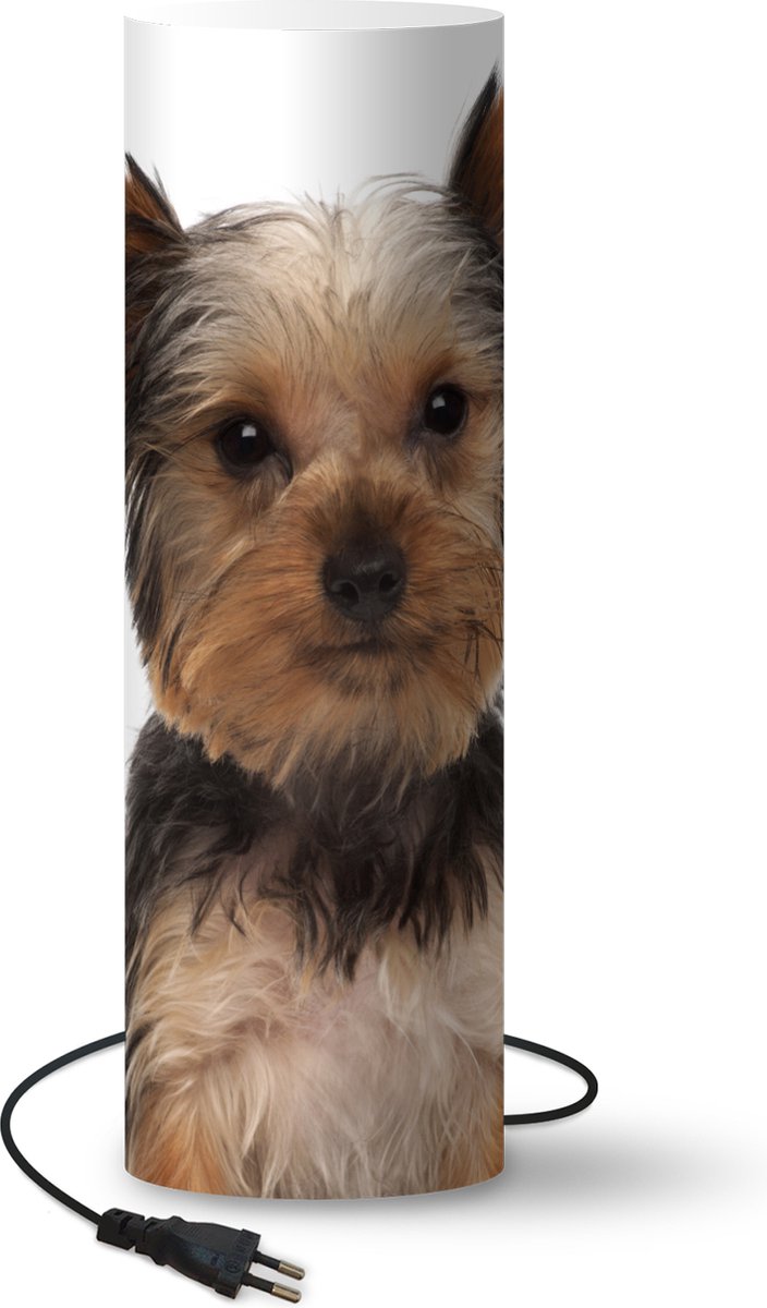 Lamp - Nachtlampje - Tafellamp slaapkamer - Poserende Yorkshire Terrier - 50 cm hoog - Ø15.9 cm - Inclusief LED lamp