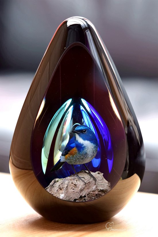 Urn voor crematie-as-Urn Design Glas met afbeelding van een vogeltje-Urn met afbeelding dmv.hoge kwaliteit foto sign folie-Urn voor Deelbestemming-Gepersonaliseerde Urn-60ml inhoud-Premium collectie-Transparant ton sur ton blauwe askamer
