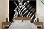 Behang - Fotobehang Zebra - Dier - Zwart - Portret - Breedte 300 cm x hoogte 300 cm