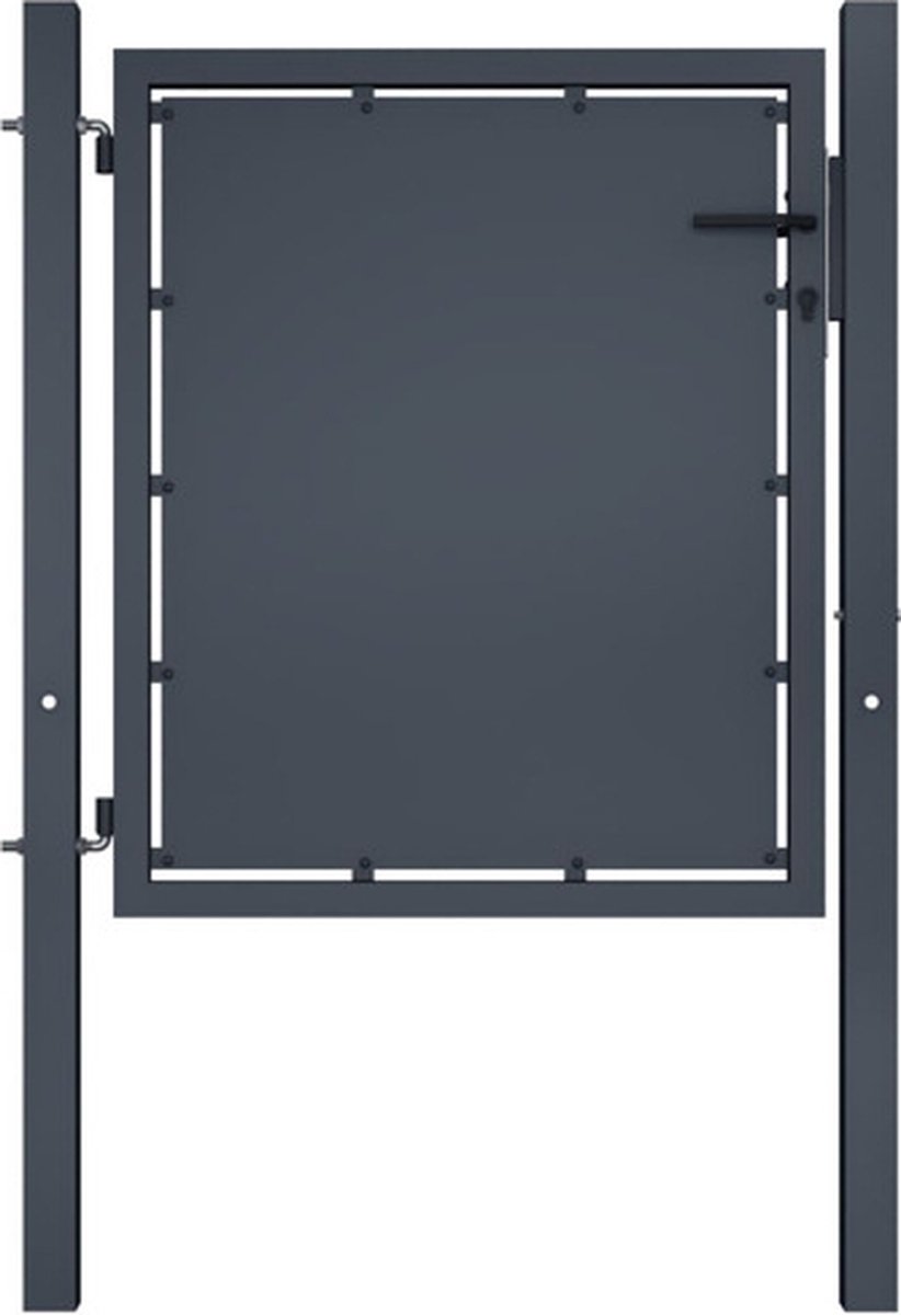 vidaXL - Tuinpoort - staal - 100x100 - cm - antraciet