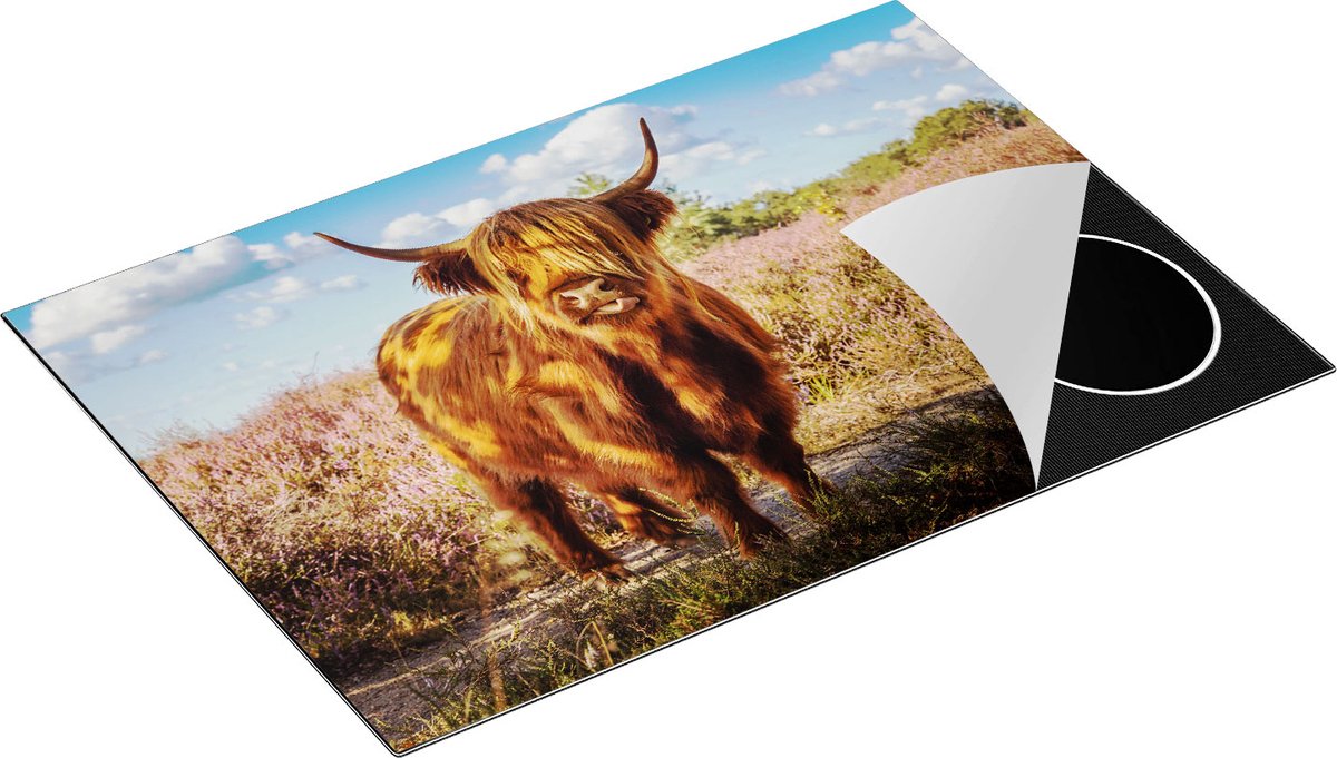 Chefcare Inductie Beschermer Schotse Hooglander Koe in de Wei - 75x50 cm - Afdekplaat Inductie - Kookplaat Beschermer - Inductie Mat