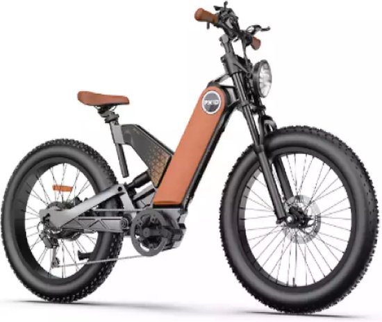 Vélo électrique avec gros pneus | bol.com