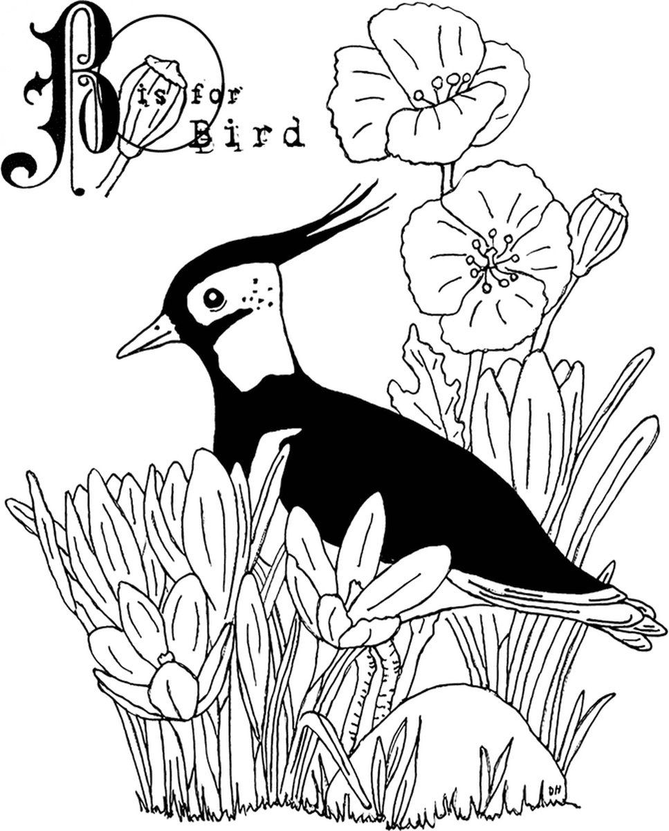 B is for Bird Unmounted Rubber Stamps (CI-602)