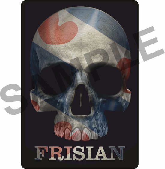 Foto: 2x fryslan skull sticker tekst frislan met skull friese vlag 9x13cm