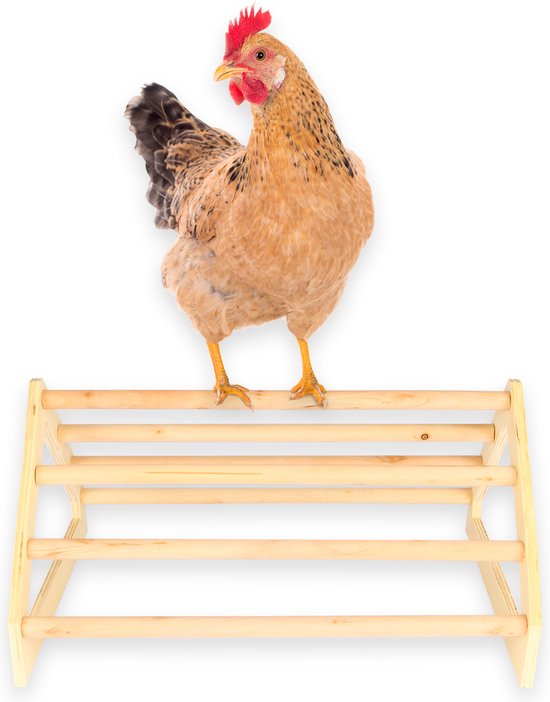 Perchoir à poulet grand - Pour poulailler - poulailler avec enclos -  balançoire à... | bol.com