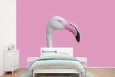 Papier peint photo peint photo vinyle - portrait flamant rose largeur 360 cm x hauteur 240 cm - Tirage photo sur papier peint (disponible en 7 tailles)