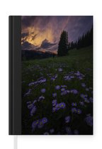 Notitieboek - Schrijfboek - Rocky Mountains - Bloemen - Schemer - Notitieboekje klein - A5 formaat - Schrijfblok