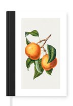 Notitieboek - Schrijfboek - Fruit - Bladeren - Eten - Notitieboekje klein - A5 formaat - Schrijfblok