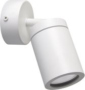 Spot de Plafond Tenor - 1x Culot GU10 - 1 spot sur plaque de plafond - Moderne - Wit - source lumineuse exclue - Spot en saillie pour salle de bain, salon, chambre ou cuisine.