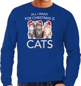 Kitten Kerstsweater / Kerst trui All I want for Christmas is cats blauw voor heren - Kerstkleding / Christmas outfit M