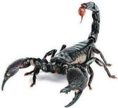 Auto sticker 3D scorpion