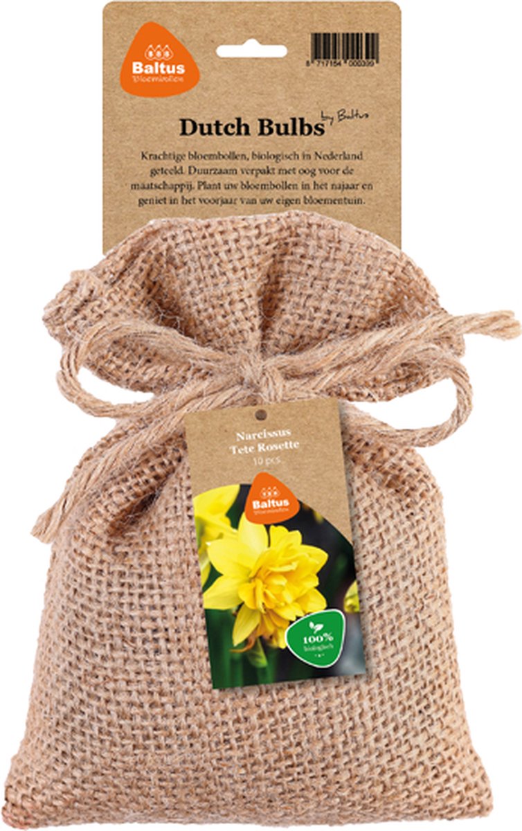 BIO - Narcissus Tete Rosette per 10