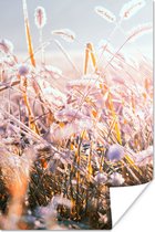 Poster Gras - Zon - Winter - Sneeuw - 60x90 cm