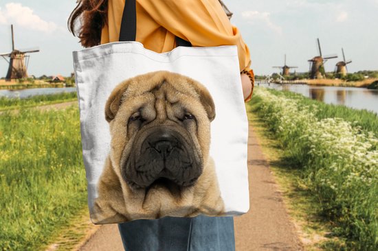 Sac bandoulière - Sac de plage - Shopper Wrinkle dog - Sharpei - Bébé - Jeune - Chambre de bébé - Puériculture - 40x40 cm - Sac coton