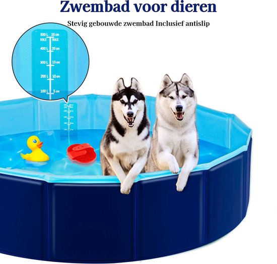 van Dam Exclusive® Zwembad voor dieren - Zwembad - Hondenzwembad - bad -  hondenbad -... | bol.com