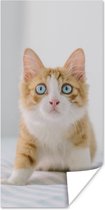 Poster Kitten - Blauw - Oranje - Meisjes - Kinderen - Jongens - Kind - 40x80 cm