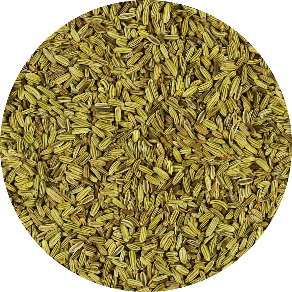 Goedkoopste Van Beekum Specerijen - Venkelzaad Heel - 15 KG - Zak (bulk verpakking