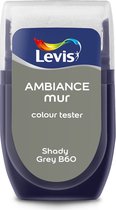 Levis Ambiance - Color Tester - Mat - Shady Grey B60 - 0,03L