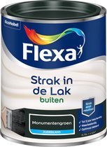 Flexa Strak in de Lak Zijdeglans - Buitenverf - Monumentengroen - 750 ml