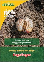 ECOstyle Aaltjes tegen Engerlingen - Bestrijdingsmiddel Insecten - Natuurlijk & Biologisch - Tegen Losliggende Graszoden - Werken 24 uur per Dag - 500 m2