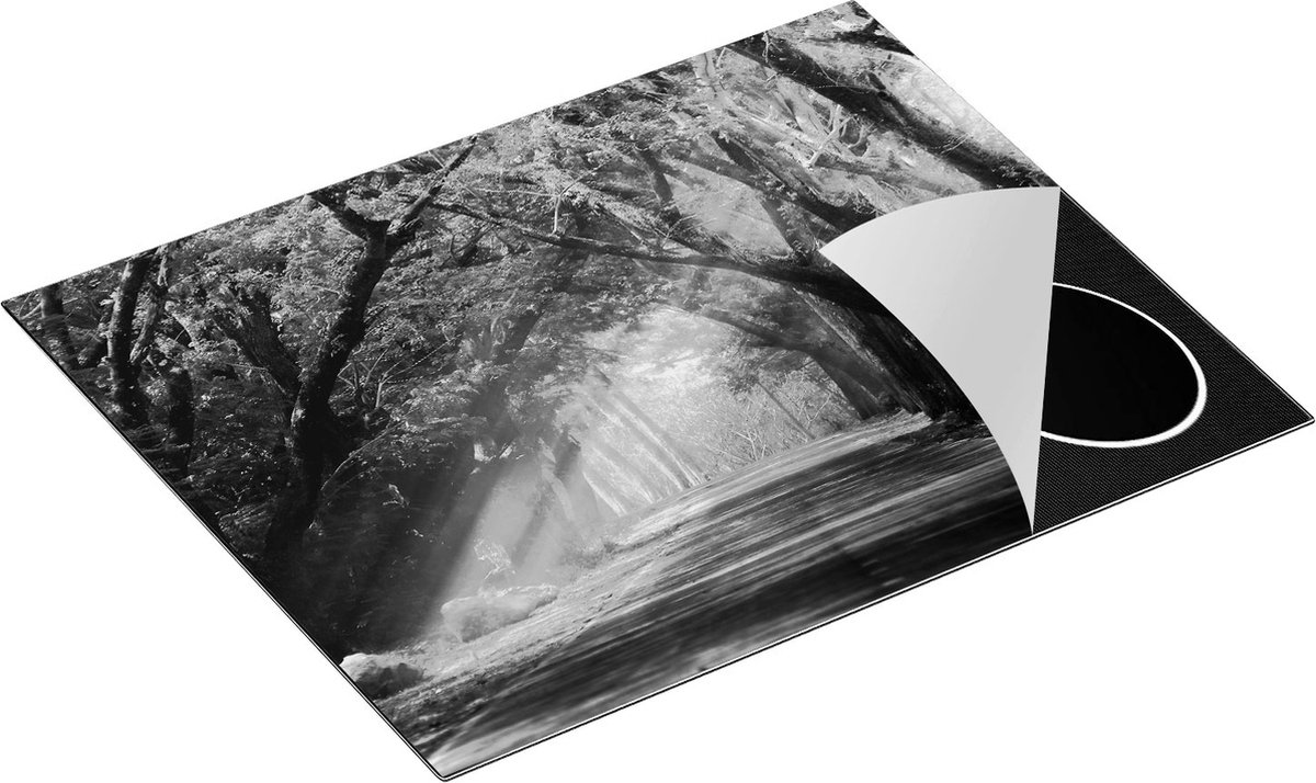 Chefcare Inductie Beschermer Weg Omringd met Bomen - Zwart Wit - 65x50 cm - Afdekplaat Inductie - Kookplaat Beschermer - Inductie Mat