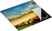 Chefcare Inductie Beschermer Kudde Schapen op het Gras bij Zonsondergang - 60x52 cm - Afdekplaat Inductie - Kookplaat Beschermer - Inductie Mat