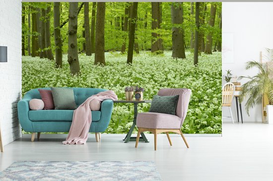 Papier peint photo vinyle - Fleurs Witte dans une forêt en fleurs du parc national du Hainich en Allemagne largeur 390 cm x hauteur 260 cm - Tirage photo sur papier peint (disponible en 7 tailles)