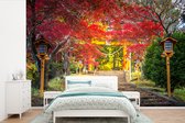 Papier peint photo peint photo vinyle - Jardin japonais en automne largeur 390 cm x hauteur 260 cm - Tirage photo sur papier peint (disponible en 7 tailles)
