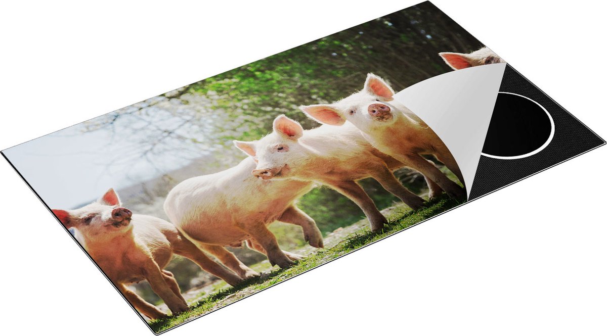 Chefcare Inductie Beschermer Groep Jonge Varkens - 90x50 cm - Afdekplaat Inductie - Kookplaat Beschermer - Inductie Mat