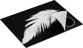 Chefcare Inductie Beschermer Witte Veer op een Zwarte Achtergrond - 70x55 cm - Afdekplaat Inductie - Kookplaat Beschermer - Inductie Mat