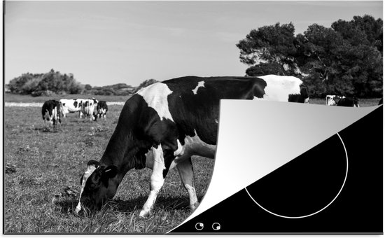 KitchenYeah® Inductie beschermer 81.6x52.7 cm - Friese koeien grazen in het veld - zwart wit - Kookplaataccessoires - Afdekplaat voor kookplaat - Inductiebeschermer - Inductiemat - Inductieplaat mat