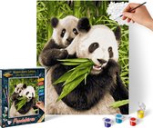 Schipper Schilderen op Nummer - Panda Beren - Hobbypakket