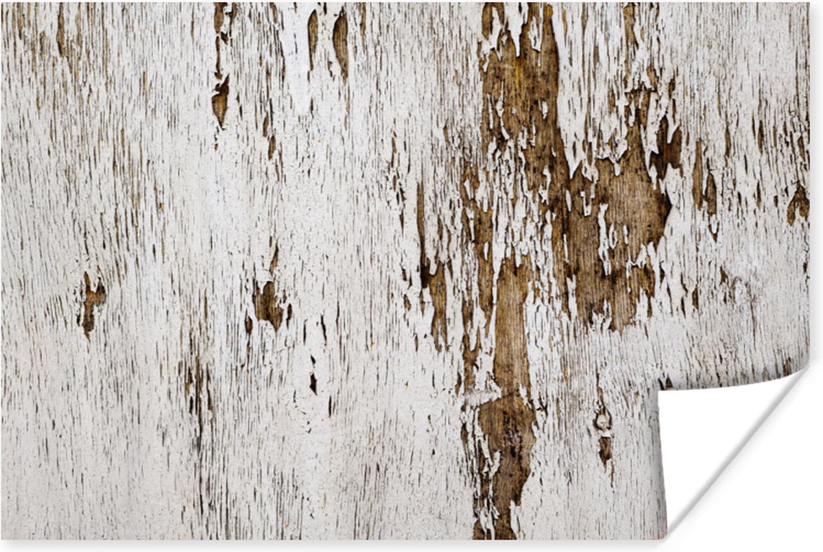 Poster Hout - Rustiek - Boom - 90x60 cm