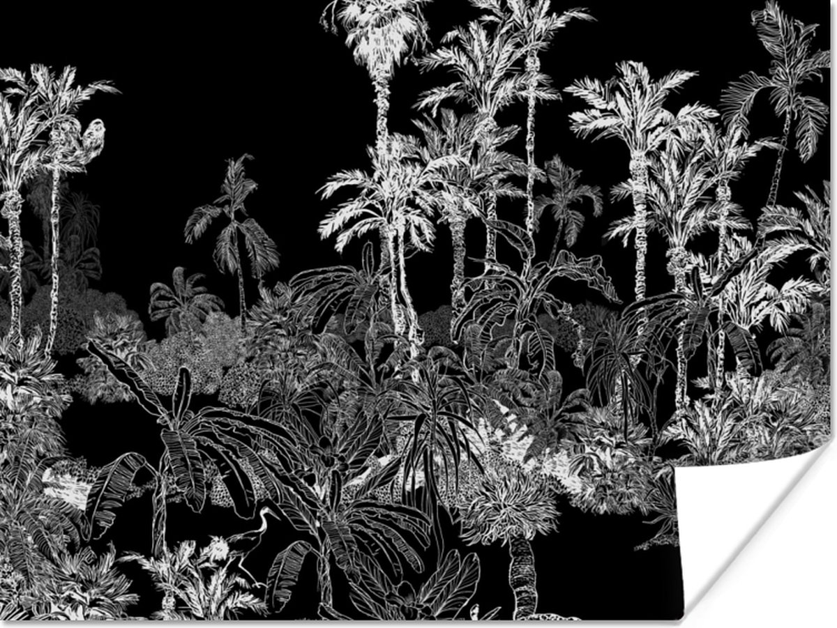 Poster Palm - Jungle - Tropical - 40x30 cm