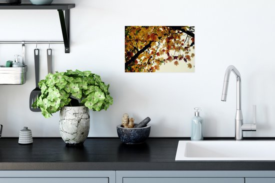 Affiche Arbres - Feuilles d'automne - Nature - 30x20 cm